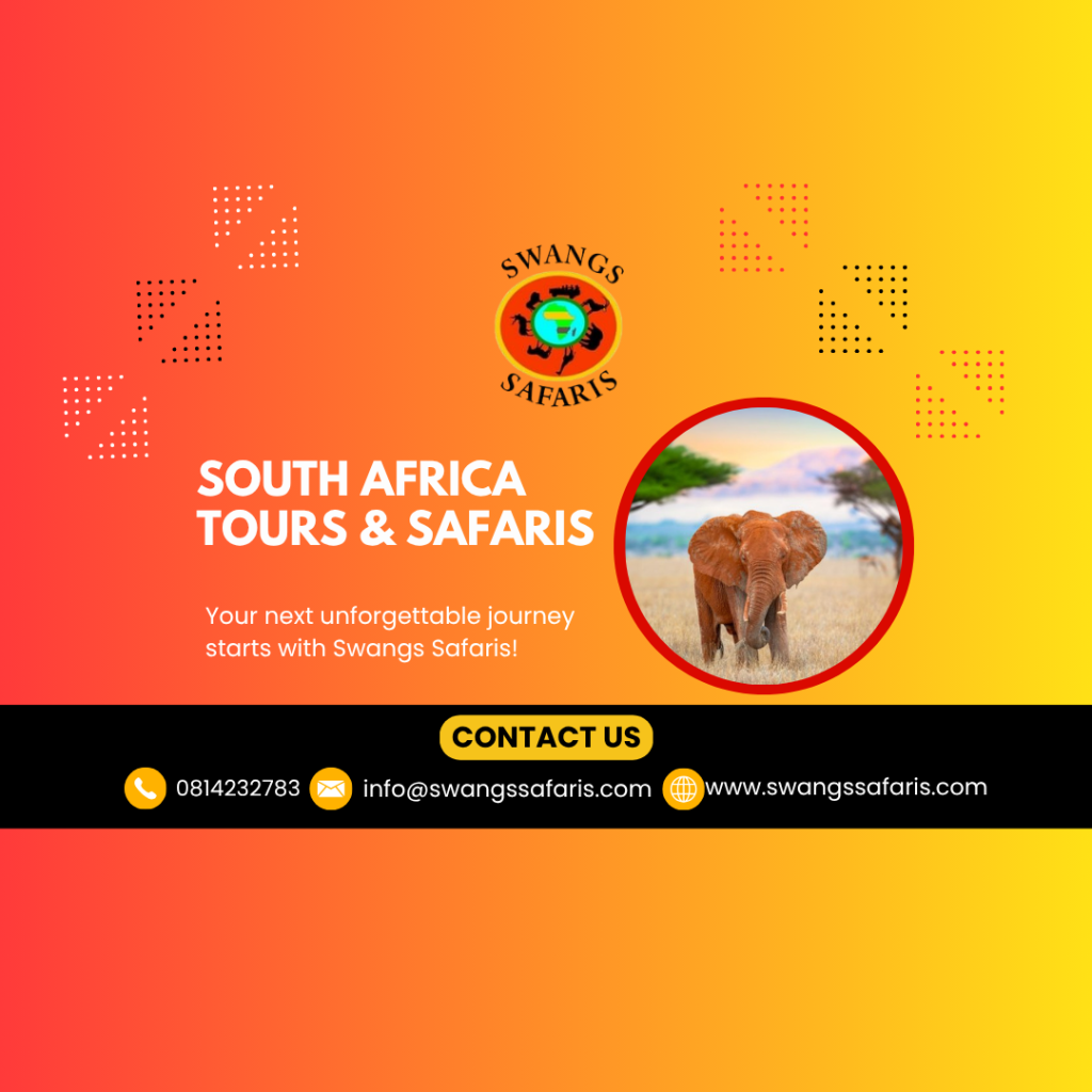 Swangs-Safaris-2026-09-14T114717.705
